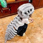 Spinosaurus Plush Dino Outfit Spinesaurus Realistic Dinosaur Costume-3d Skeleton