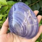 10 Large Purple Clam Shells Natural Seashell Rare Real Beach Aquarium Deco 3  In