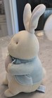 Vtg Eden My First Peter Rabbit 10    Plush Pastel Baby Beatrix Potter Bunny