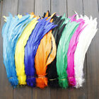 10 50 100pcs Rooster Tail Feathers 10-16 Inch 25-40cm Diy Jewelry Art Decoration