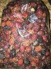 12 Oz Rosehips Natural Botanical Potpourri Primitive Autumn Fall