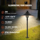 12 Pack Low Voltage Landscape Path Lights 12-24v Outdoor Led Pathway Light