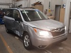 Sunroof For Forester Glass Only