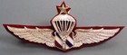 Thai Police Parachute Wings Metal Badge   2nd Class