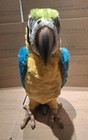 Furreal Friends Squawkers Mccaw Macaw Parrot Talks 2006 Tested