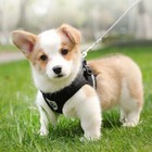 New Cat Dog Pet Harness Adjustable Control Vest Dogs Reflective S M Leash