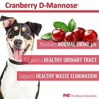 Digestive Urinary Tract Support Cranberry Supplement For Dogs  60 Tabs 