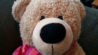 Dan Dee Soft Sitting Light Brown Caramel Teddy Bear W  Scarf 14    Plush Nice