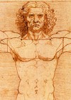 Leonardo Da Vinci Vitruvian Man 1490 Historic Italian Art Poster Print - 24x36