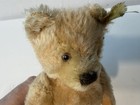 Vintage Steiff Original Teddy Bear  Likely Dating From The 1940s