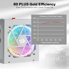 Rgps-750w 80  Gold 750 Watt Atx Fully Modular Power Supply W  80 Plus Gold Certi
