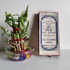 1940s Vintage Aziz   Sons Buttonwala Italian Buttons 55 Italy Original Box Cb233