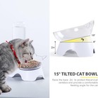 Double Pet Bowls W  Automatic Waterer 15   Tilt Food Water Set For Dogs Cats 