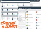 1 Year Super Alpha  Reseller Web Hosting Create Unlimited Accounts Whm cpanel