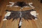 2 Antelope Nyala   African Rug Tanned Leather Taxidermy Fur Hide Skin Pelt