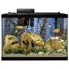 Tetra 20 Gallon Complete Aquarium Kit W  Filter  Heater  Led   Plants