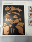 Spellbinders Tropical Friends Die Set