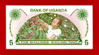 Five 5 Shillings Shillingi Tano 1982 Uganda Unc Note  p-15  Woman Picking Coffee