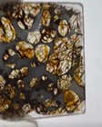 Sericho Pallasite Meteorite Pendant Olive Iron Meteorite - From Kenya Necklace