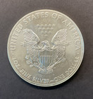One 2013 American Silver Eagle 1 Oz  999 Fine Silver Dollar Bu Uncirculated