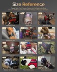 Service Dog Vest Small Dogs Air Mesh Harness Leash Set Esa Puppy Training Red