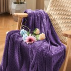 Fleece Throw Blanket  Super Soft Fuzzy Blanket For Couch Sofa Bed Office  Coz   
