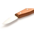 Pfeil  swiss Made  Chip Carving Knife