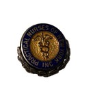 Vintage 10k Gold Blue Enamel Practical Nurses Of New York Pin