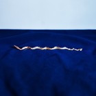 Real Rattlesnake Taxidermy Mount Genuine Rattle Snake Mount