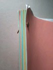 Little Nicky  2000  Original Adam Sandler Movie Script W colored Revision Pages