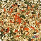 Sweet Harvest Cockatiel No Sunflower Seed Bird Food 4 Lbs