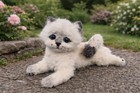 Ooak Needle Felted Ragdoll Cat  Realistic Felted Kitten Sculpture  Handmade Wool