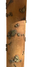 Antique Victorian Industrial Fabric Or Wallpaper Printing Roller Lamp Large 