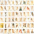 Playing Cards   Gorgeous Ladies Beautiful Vintage Retro Pin Up Artworks 066