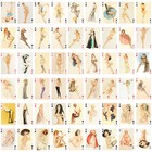 Playing Cards   Gorgeous Ladies Beautiful Vintage Retro Pinup Alberto Vargas 066