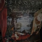 Indigo Girls Swamp Ophelia Signed Original Vinyl Record