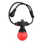 Chauvet Dj Festoon 2 Rgb Ext Outdoor-rated Rgb Light String