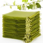 50pcs Fruit Protection Bags Reusabel Garden Fruit Tree Bags For Mango Grape
