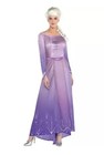 Adult Frozen 2 Disney    elsa    Halloween Costume Long Dress  Size Adult Medium 6-8