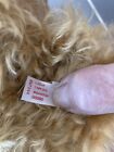 Steiff  32  Tall Maximilian Teddy Bear Limited Edition  80  Jointed Growler Hump