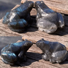 4pcs Natural Labradorite Quartz Crystal Stone Frog Carved Healing Reiki Figurine