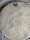 Remo Fixed-head Double Row Tambourine Black 10 In 
