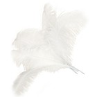 10 Pcs Natural Ostrich Feathers Wedding Party Decoration White 45-50cm R1h91128