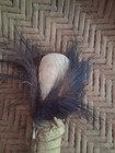   awesome  Vintage 1950s  Native American   Hand Drum Beater    