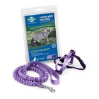 Petsafe Come With Me Kitty Cat Harness And Bungee Leash Lilac Small