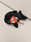 Ty Beanie Boos Teeny Tys 4  Orville Whale Stackable Plush Stuffed Animal Mwmts