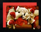 Htf Christmas Dogs Puppies Santa Hats Sleeping Cuddling - Greeting Card