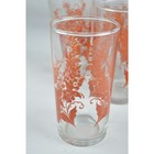 Set Vintage 1960 Orange Red Botanical Print Drinking Glasses Anchor Hocking 12oz