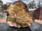       rr        Top Quality Agate opal Replaced Arizona Petrified Wood 2 Lb 5 Oz      