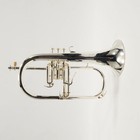 Yamaha Model Yfh-8315iigs Custom Series Bb Flugelhorn Sn 460469 Superb